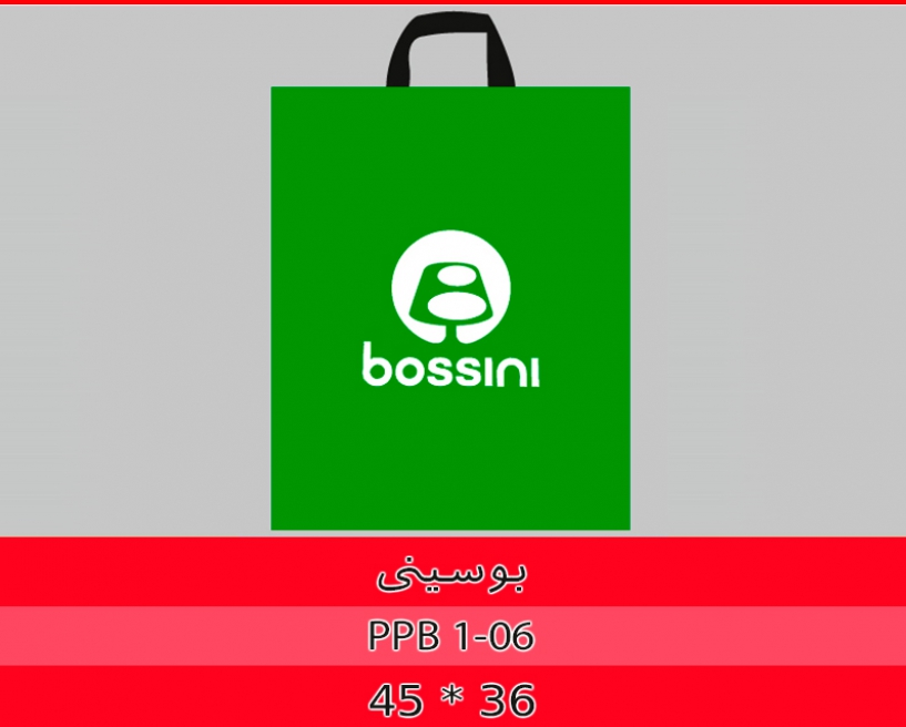 بوسینی
